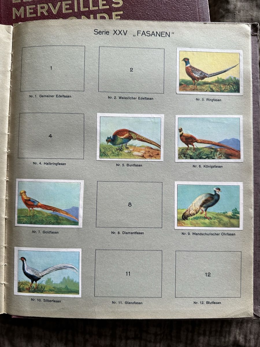 Sammelbilder & Trading cards: NPCK ALBUM – Gebraucht aus Duebendorf von 69R81y 3