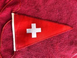 Schweiz suisse switzerland fahne wimpel