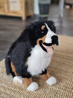 Berner Sennenhund Stofftier,  50cm, neuwertig