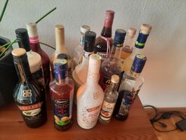 Spirituosen/Likör Sammlung verschiedene Marken und Grössen