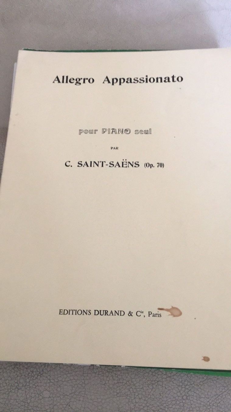 CD: Allegro Appassionatio - Saint Saëns klav – Nuovo (secondo la descrizione) da Luzern venduto da inf_c7r2