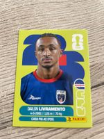 Panini Sticker - Dailon Livramento