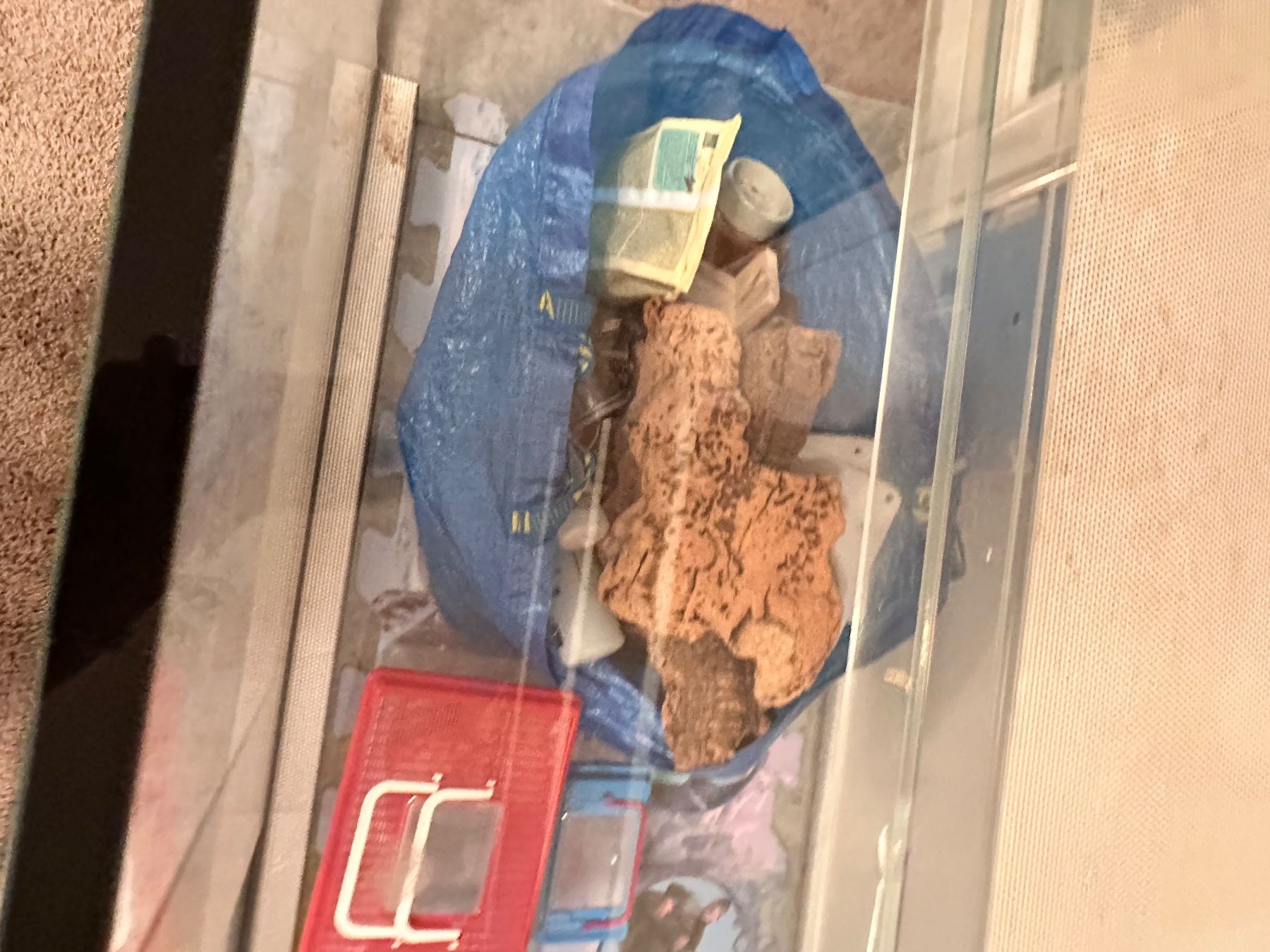 Terrarium: Terrarium / Nagerkäfig – Gebraucht aus Erlenbach ZH von cassi123 4