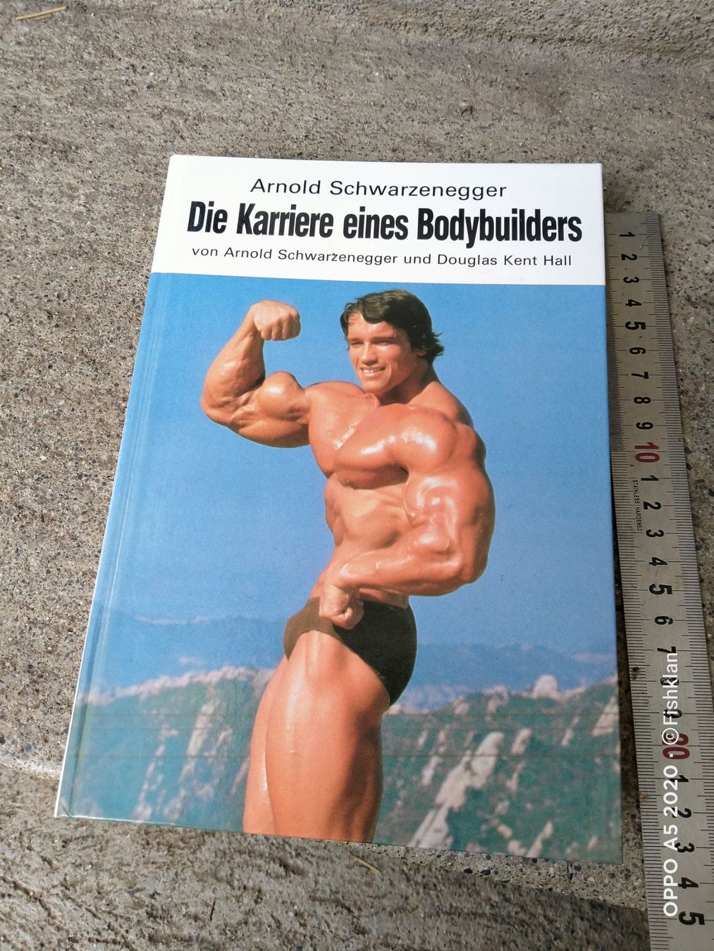 Libri: Schwarzenegger, Karierre eines Bodybuilders / Räumung – Usato da Küssnacht am Rigi venduto da WorthPoint