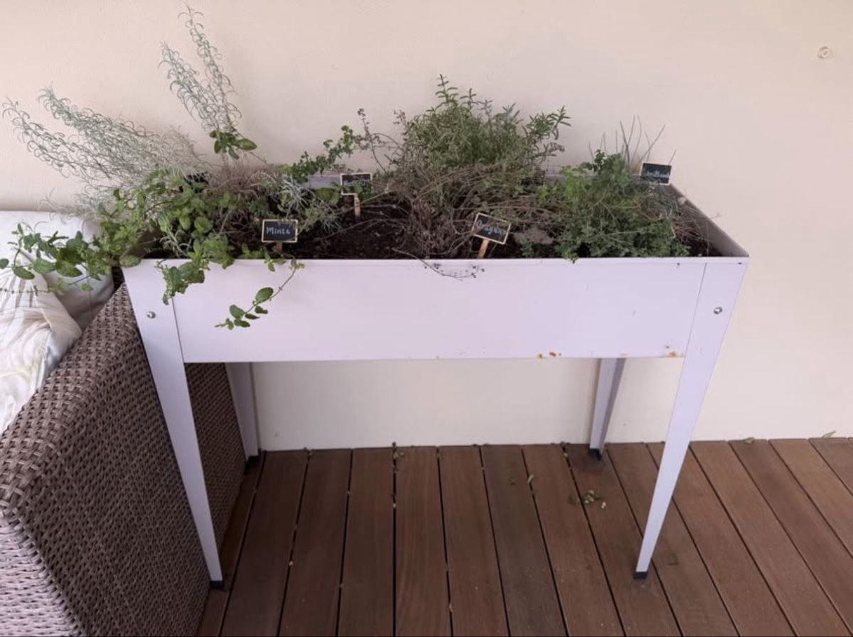 Auflagenboxen: Hochbeet – Gebraucht aus Schöftland von selina-michele 1