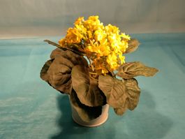 Kalanchoe im Topf, gelb