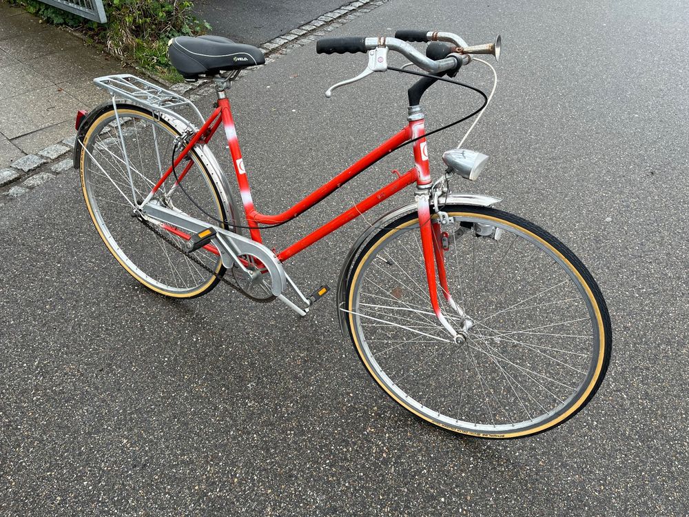 Tour in bicicletta dei fenicotteri delle zone umide di Venezia e