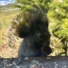 Profile image of hitchhiker01