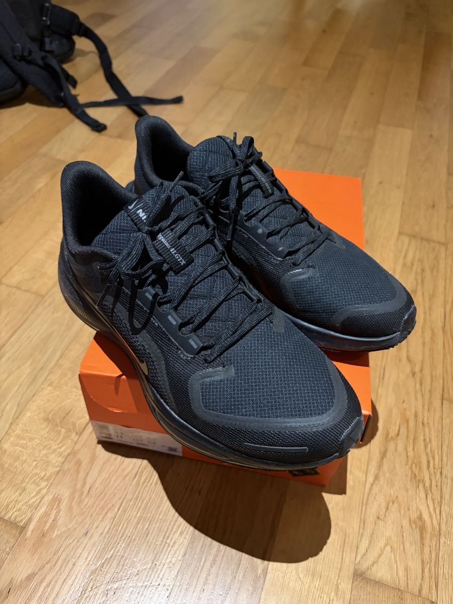 Nike Scarpe da uomo: Nike Air Zoom Pegasus 41 GTX – Usato da Luzern venduto da alf_289m 1