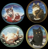4er-Set „Suzanne Klee – Bunte Katzenwelt“ – limitiert