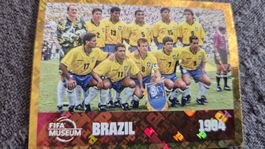 panini fifa museum brazil 1994