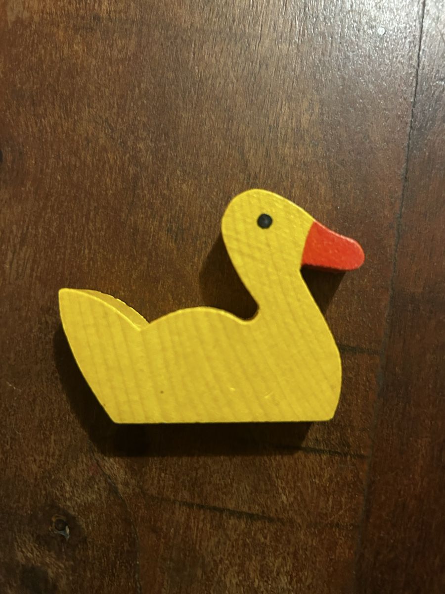 Jouets: Holz Ente – D'occasion à Winterthur par Sunshineandrain 1