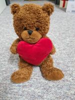 Teddy Bär Plüschtier