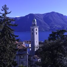 Profile image of Brazsuiss08