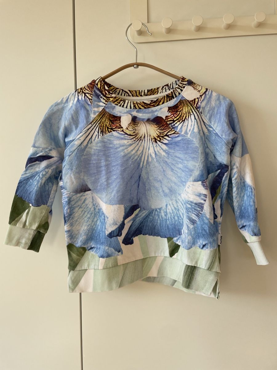 Molo Maglioni & Felpe: Molo Sweatshirt Grösse 110 – Usato da Neukirch an der Thur venduto da bee88