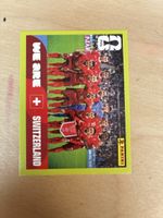 Panini SUI 13