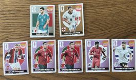 Panini Extra Sticker