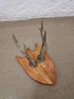 Rustikaler Hirschtrophäe Wandschmuck Jagd-Deko