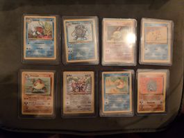 Pokémon Karten Sammlung