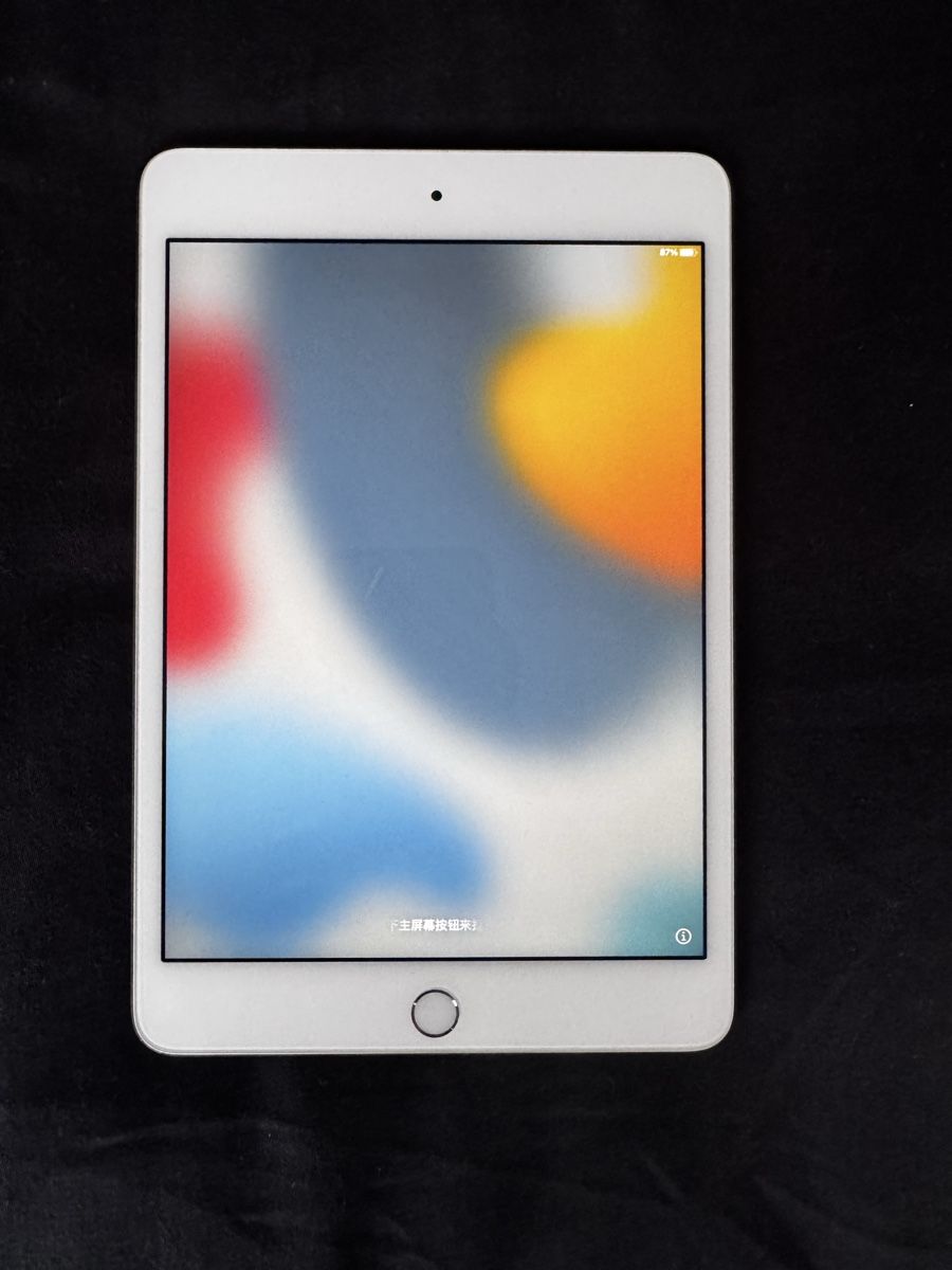 Apple Tablet PC: Ipad Mini 4 – Usato da Turgi venduto da Donnidavee