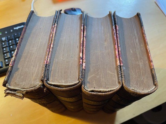 Libri: Goethes Sämtliche Werke - 4 vol de 1922 – Usato da Romanel-sur-Lausanne venduto da seb_9c2t 1