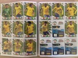 Panini Road to 2014 FIFA World Cup Brazil - Brazil