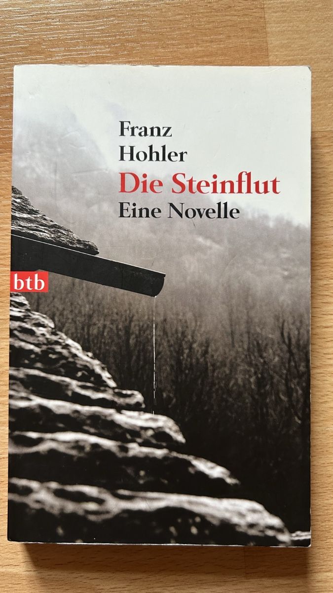 Libri: Die Steinflut - Franz Hohler – Usato da Reigoldswil venduto da har_yz6k