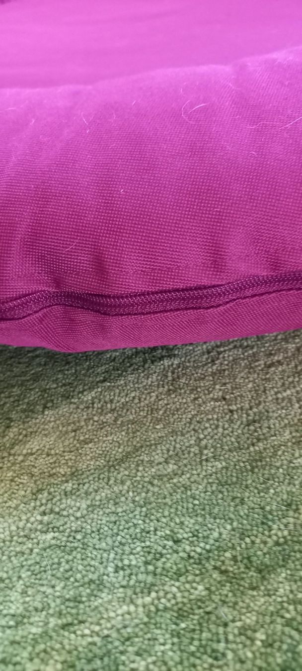 Liege- & Schlafplätze: Hundebett gross – Gebraucht aus Höri von bsc_68fw 1
