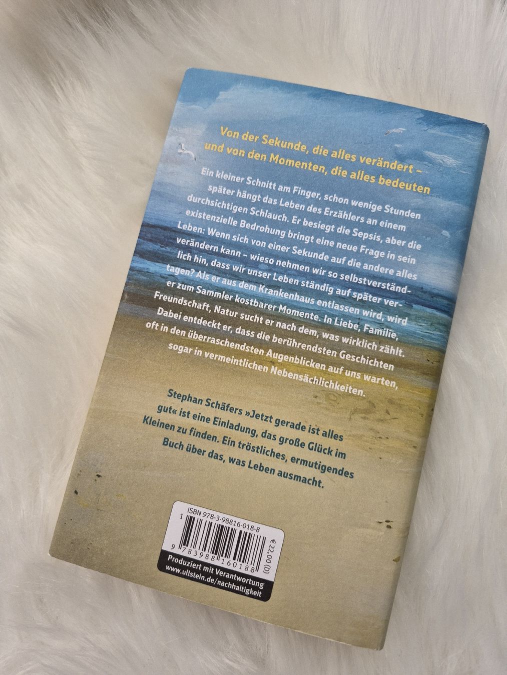 Livres: Buch Stephan Schäfer Jetzt gerade ist alles gut. – D'occasion à Altdorf SH par MR2509 1