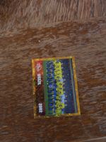 Brasil Team Sticker 2002 WM Top Zustand! Für WM 2026 Album