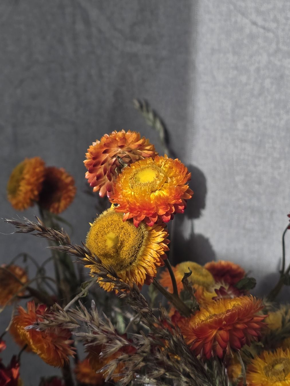 Alle Dekorationen: Getrocknete Blumensträusse, Orange/Rot, mit Jute Gläser – Gebraucht aus Gais von gio_8csg 1