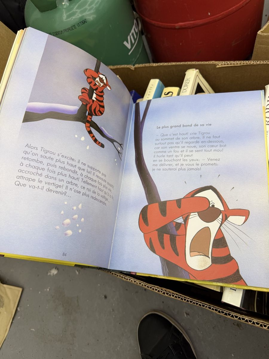 Comics: Winnie l‘Ourson – Gebraucht aus Wettingen von NickInc 1