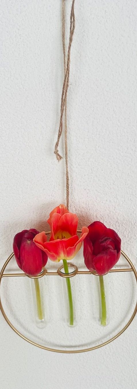 Tutte le decorazioni: Reifenkranz mit 3 Glasvasen – Usato da Fällanden venduto da LetiRobi 3