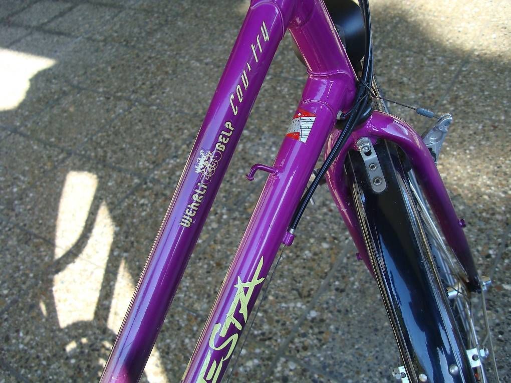Biciclette: Damen Velo – Usato da Belp venduto da fam_schumacher 1