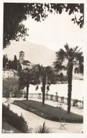 Brissago (TI) Parco sul Lago Maggiore rara