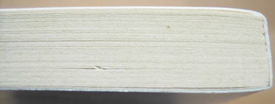Libri: Lost in Laberland von Sven Siedenberg – Usato da Dübendorf venduto da rumpumpel 4