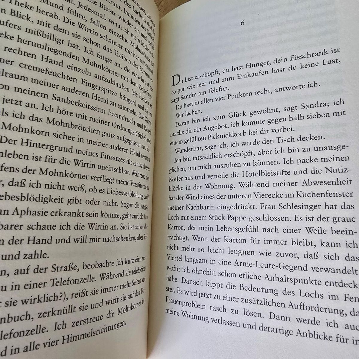 Libri: Die Liebesblödigkeit von Wilhelm Genanzio – Usato da Merlischachen venduto da Sheavy 8