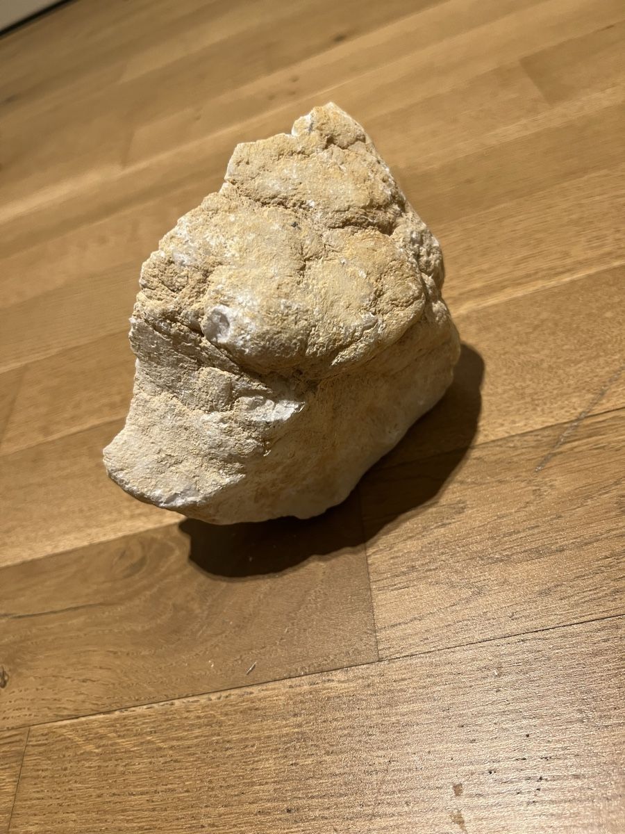 Minerali & Pietre curative: Schöner Kristall Geode 1.15kg – Usato da Altendorf venduto da wqv_97 2