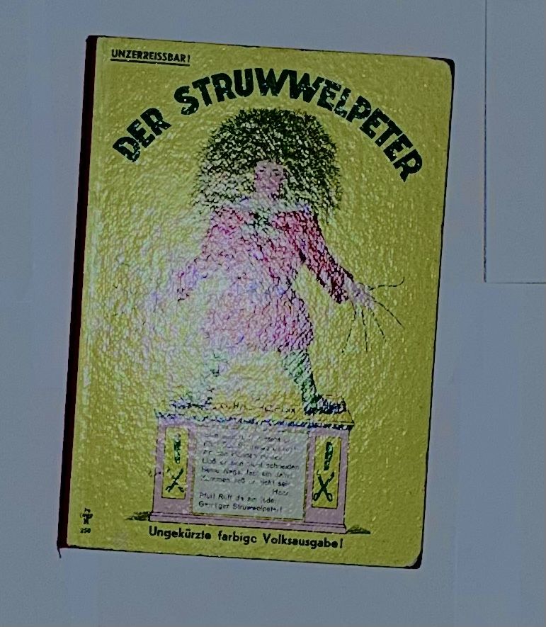 Bücher: Der Struwwelpeter Volksausgabe CH – Gebraucht aus Winterthur von Slamjam83