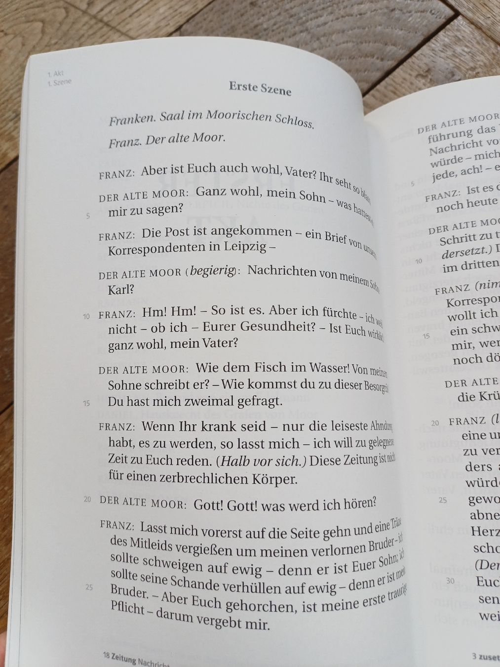 Libri: Friedrich Schiller Die Räuber Buch Comic Neuwertig – Usato da Bern venduto da rikivip 4