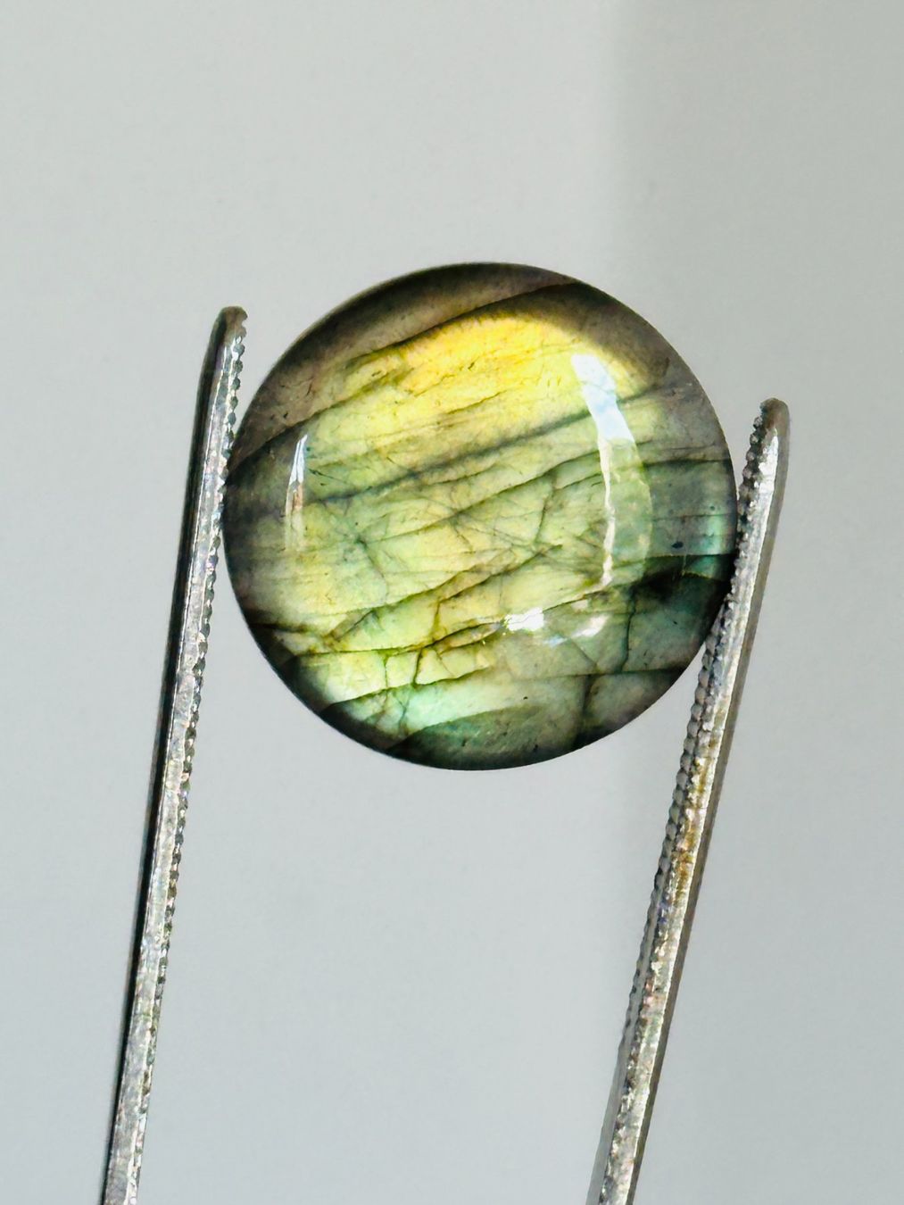 Pietre preziose: 26,1mm Labradorite multi fire spectrolite loose gem – Nuovo e nell'imballaggio originale da Genève venduto da AGBERG 4
