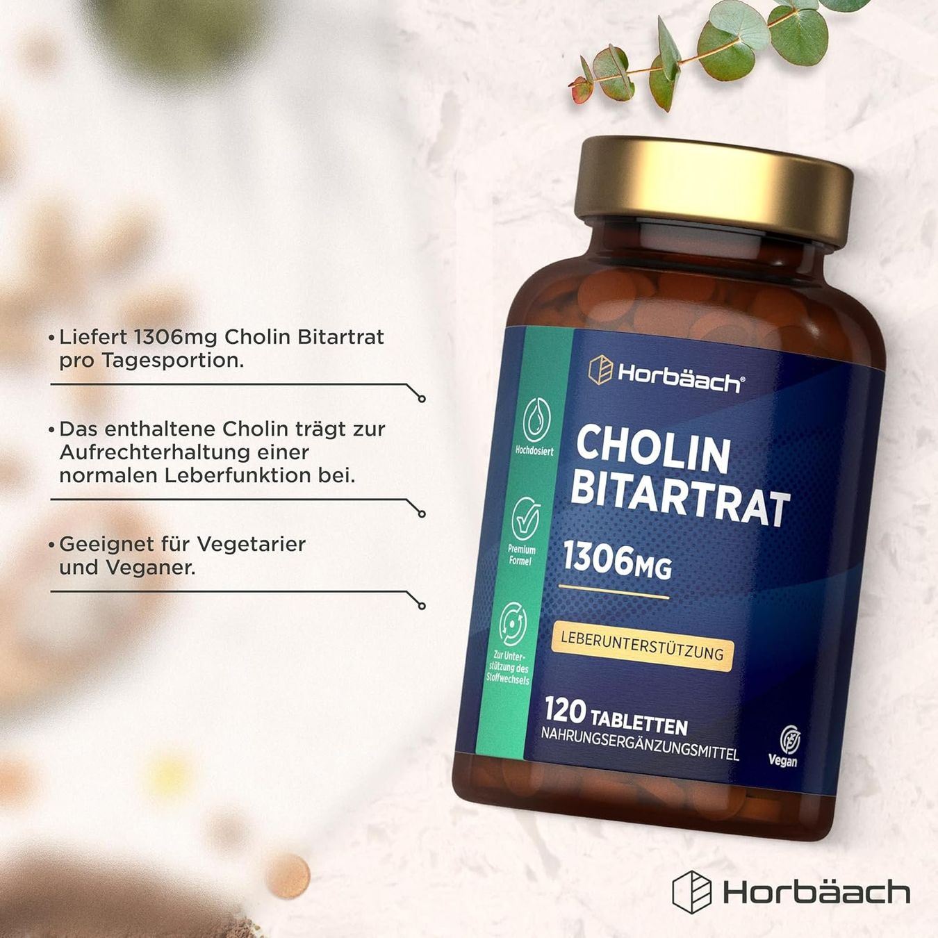 Lebensmittel & Spezialitäten: Cholin 1305 mg Tabletten 120 Stk Vegan – Neu und originalverpackt aus Suhr von SchnapperCH 1