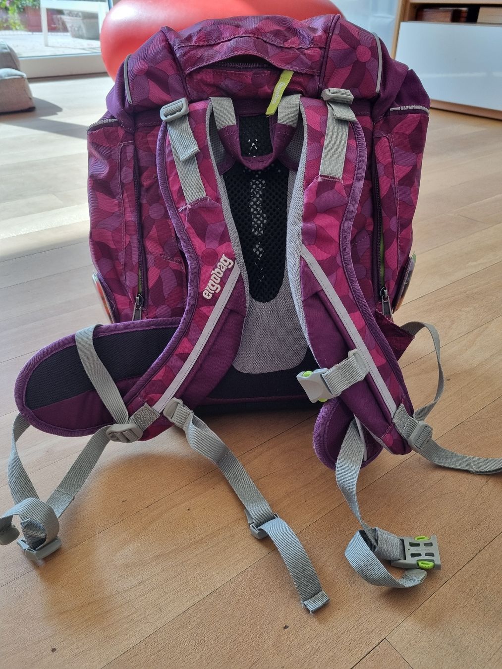 Borse & Zaini: Ergobag Schulrucksack mit austauschbaren Hundeemblemen – Usato da Basel venduto da ste_2lg2 1