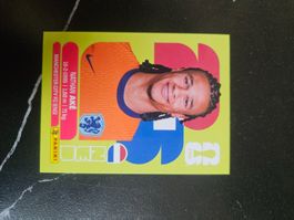 NED 7
