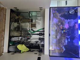 Meerwasseraquarium mit allem Zubehör
