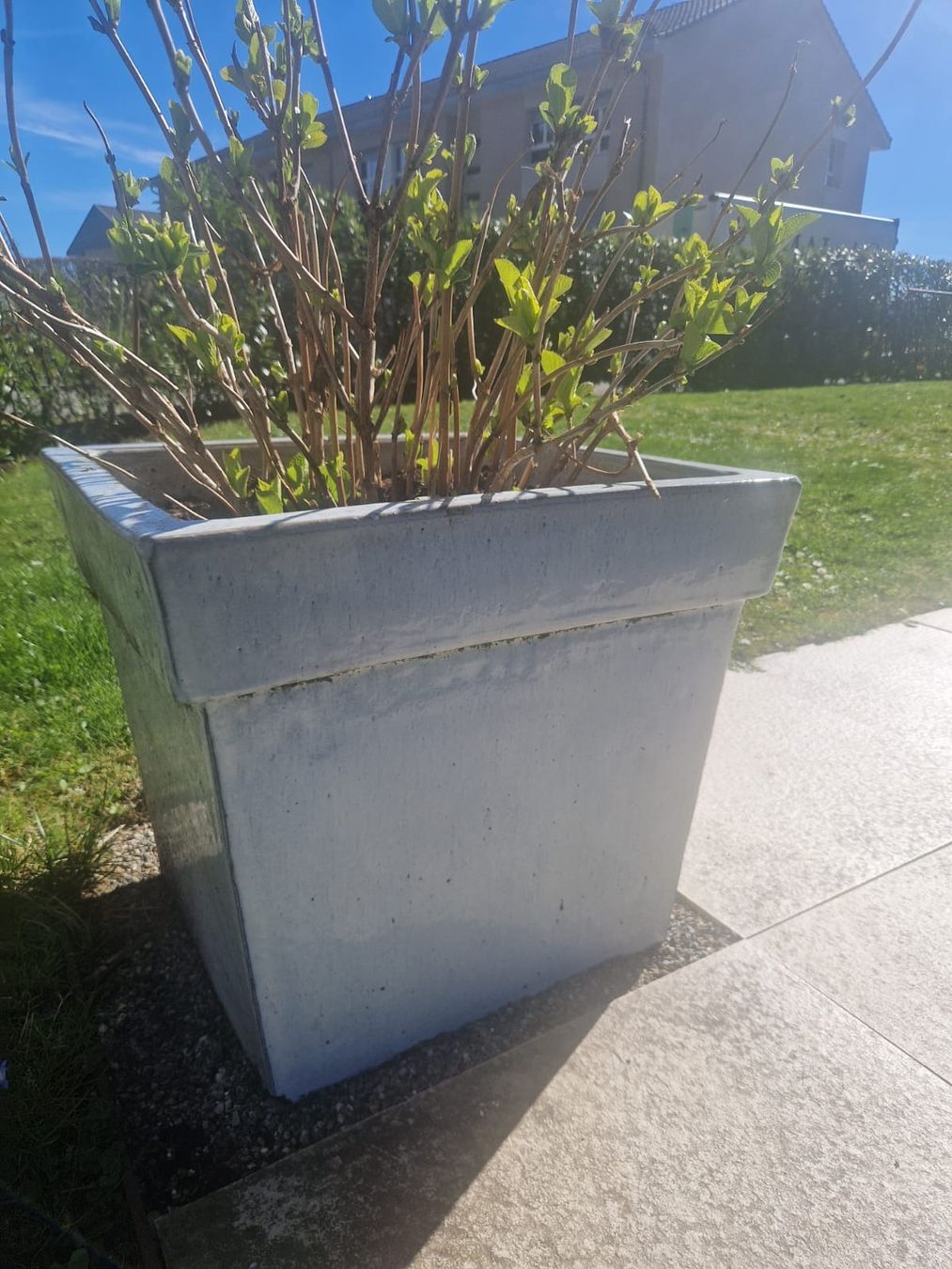 Vasi per fiori: Keramik Blumentopf – Usato da Gümligen venduto da Brocki-Reimal-Stift 1