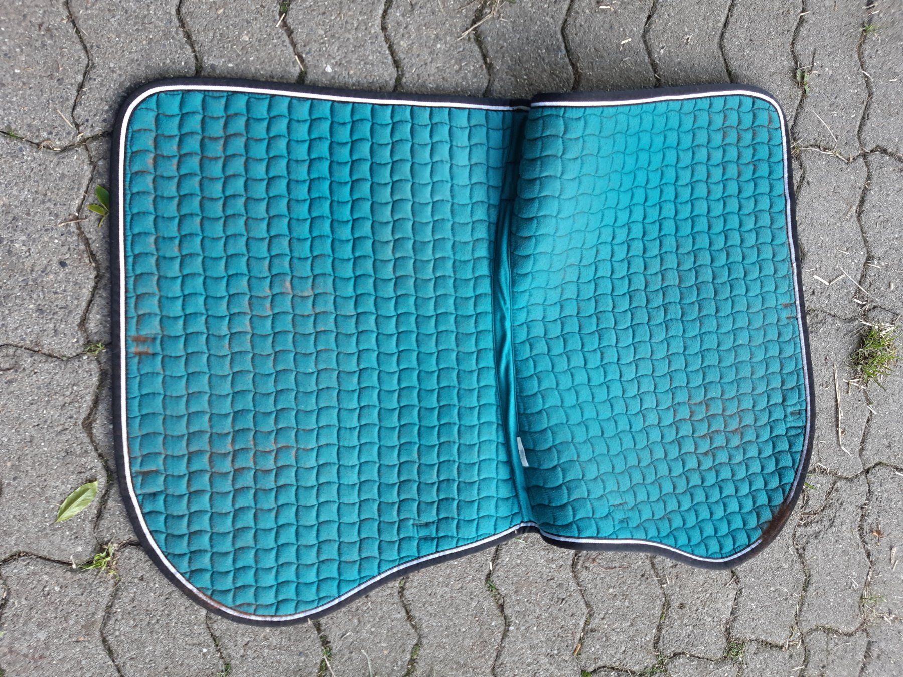 Eskadron Coperte & Accessori: Eskadron schabracke – Usato da Nebikon venduto da Haidihooo 2