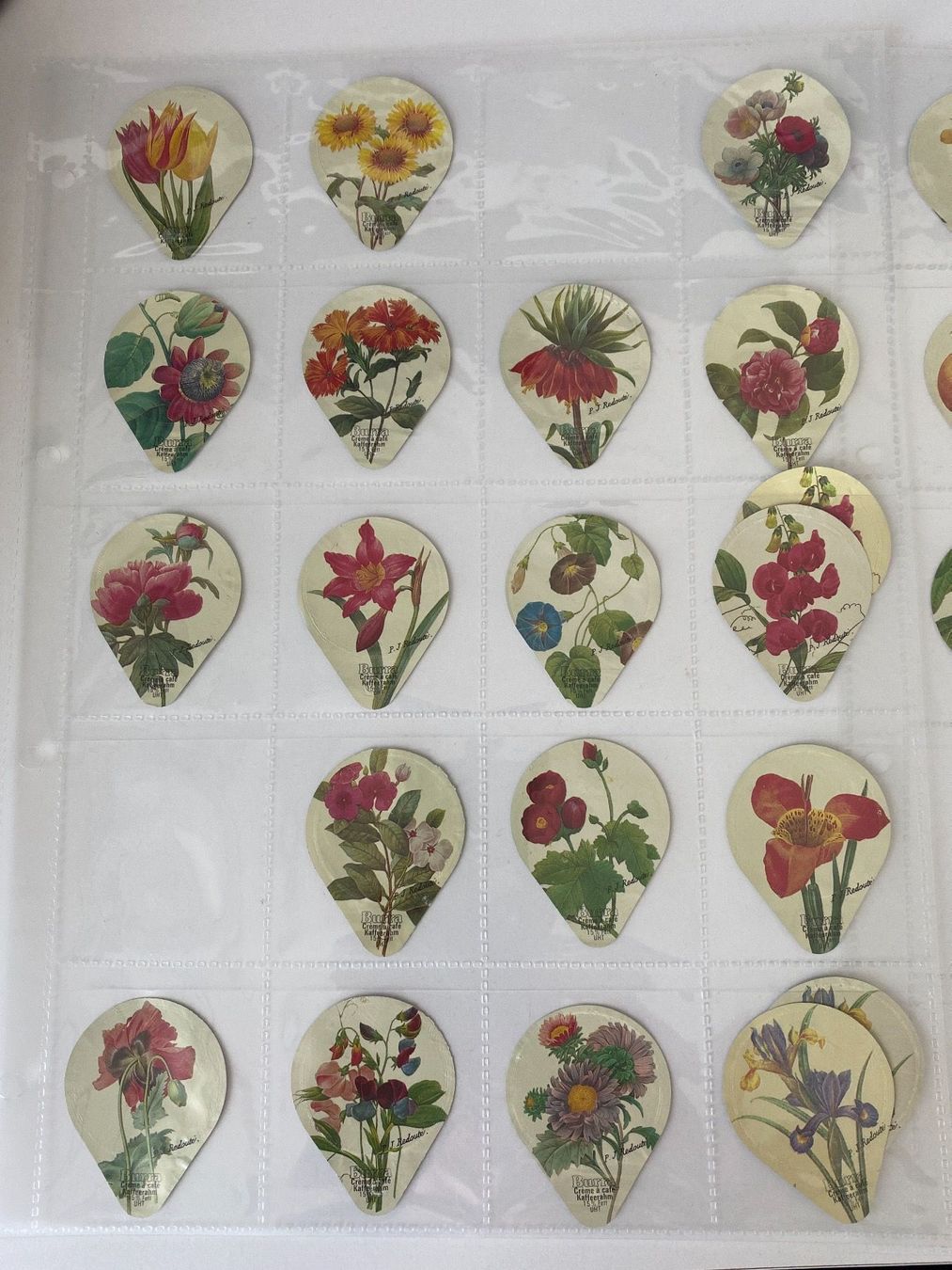 Coperchi dei cremini per caffè: KRD 412 BLUMEN UND FRÜCHTE – Usato da Glattbrugg venduto da riseca 1