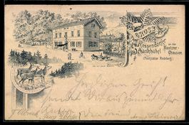 Litho Ganzsache PP9 F364: Dresden-Rossen