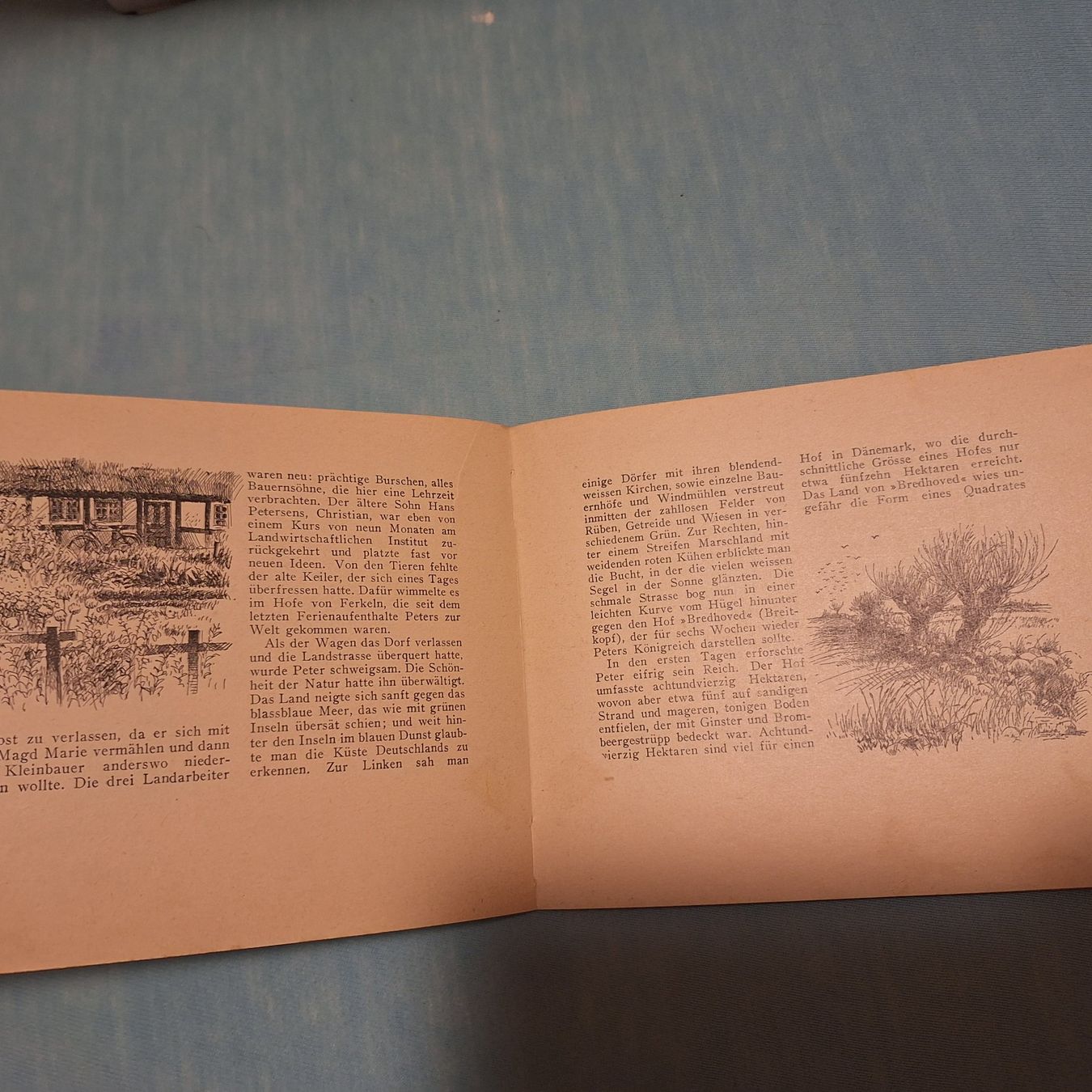 Bücher: Peter, Dein Freund in Dänemark, J. Jorgensen & Co. – Gebraucht aus Winterthur von ric_rl7n 5